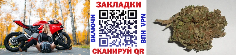 Цена Каневская Alpha-PVP  Псилоцибиновые грибы  Амфетамин  Конопля  Меф 