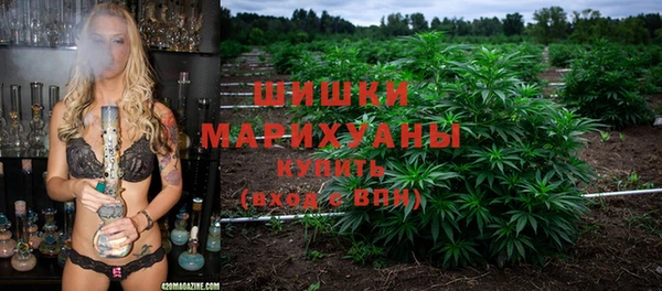 ECSTASY Алзамай
