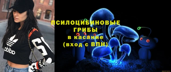 ECSTASY Алзамай