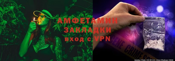 ECSTASY Алзамай