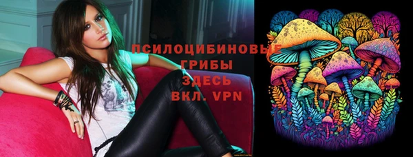 ECSTASY Алзамай